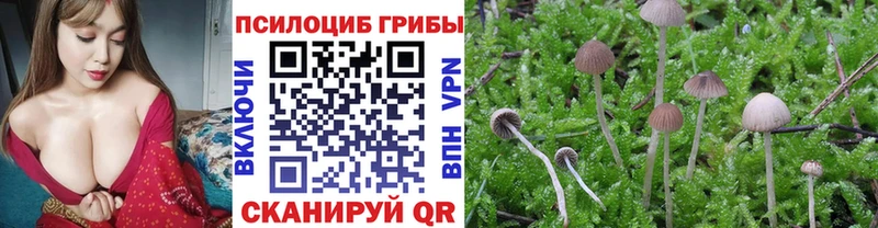 Галлюциногенные грибы мицелий Сызрань